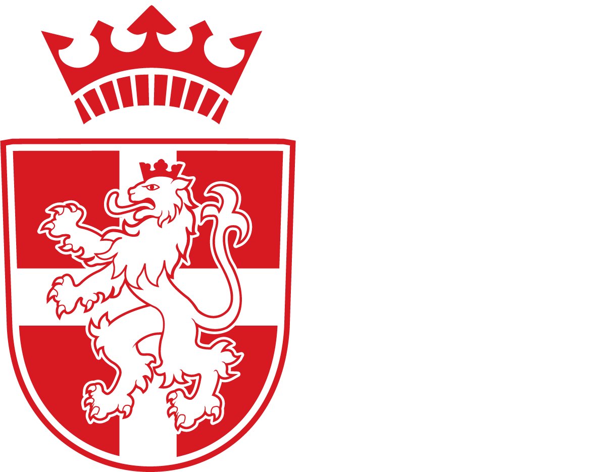 Skal du være EM-landstræner i Györ 2019?